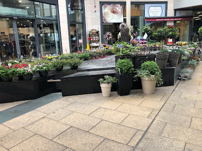 Dunnes Stores