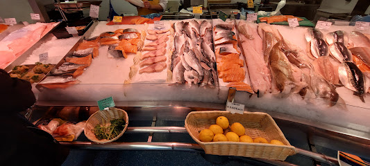 Kish Fish