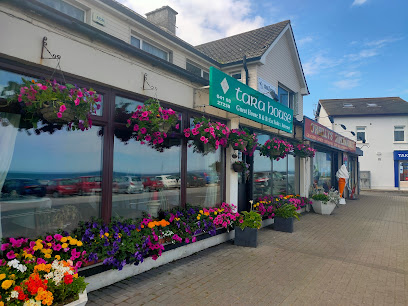 Mace Laytown